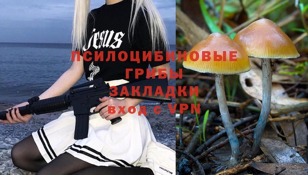 ешки Горнозаводск