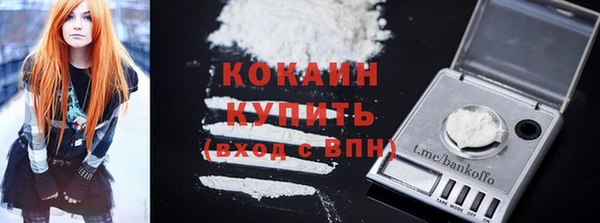 гидра Вязьма