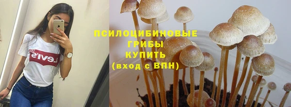 гидра Вязьма