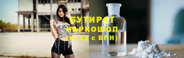гидра Вязьма