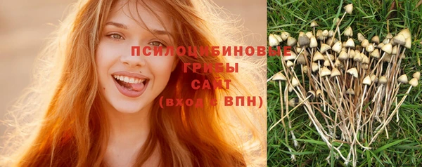 гидра Вязьма