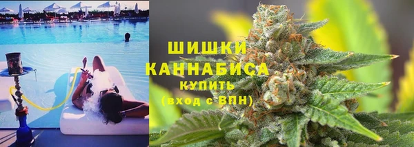 2c-b Вяземский