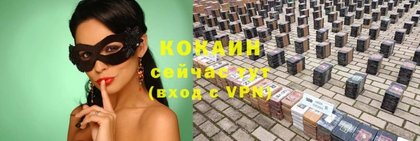 гидра Вязьма