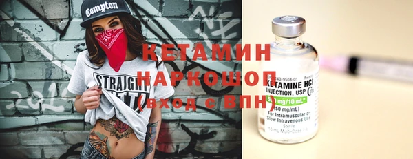гидра Вязьма