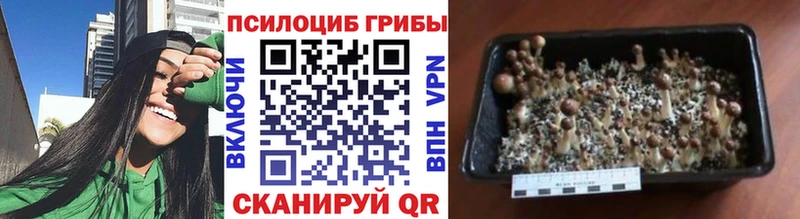 Галлюциногенные грибы ЛСД  Купить  Игра 